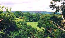 Fields around Brinkburn Priory, site of the Battle of Brunanburgh?