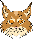 Lynx - © Nash Ford Publishing